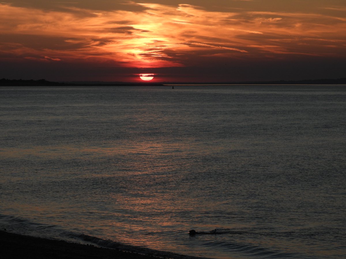 LifeOnSheppey tweet media