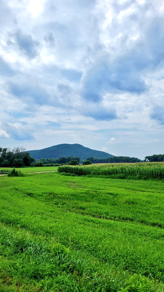 mdwst_beachbums's tweet photo. No Tornado No Bigfoot - all is good 🇺🇸
#Massachusetts #Vermont #corn #farm #greenaf #bluescreen https://t.co/e4dX8aWowg