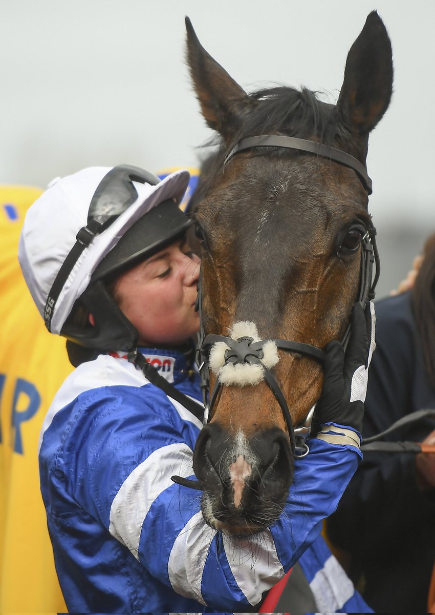 DanHorses2's tweet photo. #ChampionsFullGallop
#Shishkin
#Frodon
#Hewick

@NdeBoinville 
@PFNicholls https://t.co/Gi1n5pQo1S