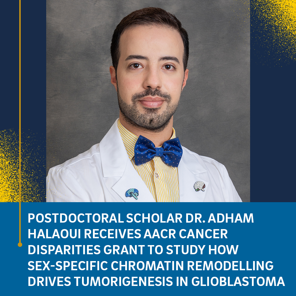 UCSDNeuroSurg's tweet photo. Proud that #UCSDNeuroSurg postdoctoral scholar Dr. Adham Halaoui (@Adhamhalaoui1) received the 2024 @AACR Cancer Disparities Grant! Under the guidance of @tbeaumont and @NKfouryBeaumont, Adham will investigate how sex-specific chromatin remodeling drives GBM tumorigenesis. https://t.co/YqtfLx2eL2
