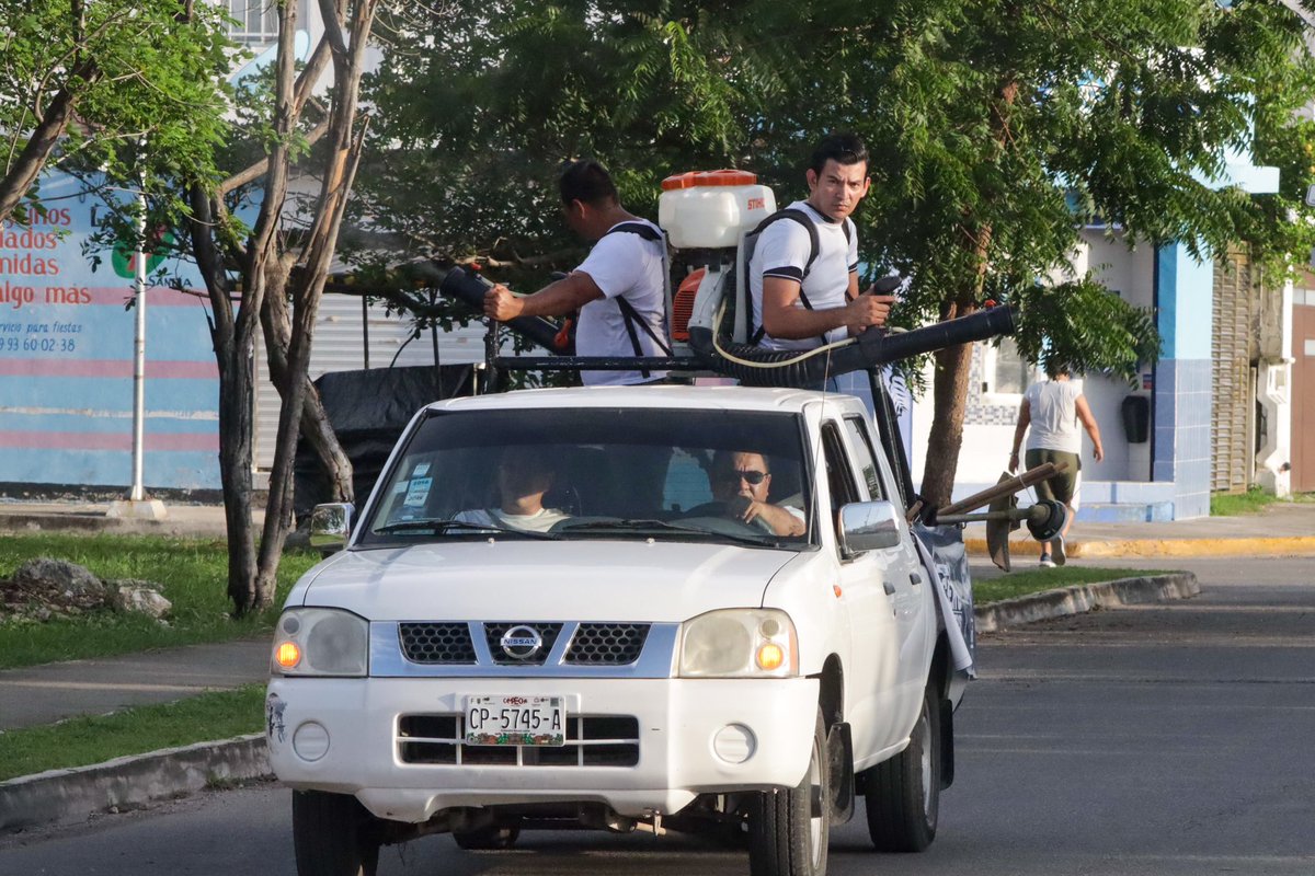 PAN Mérida tweet media