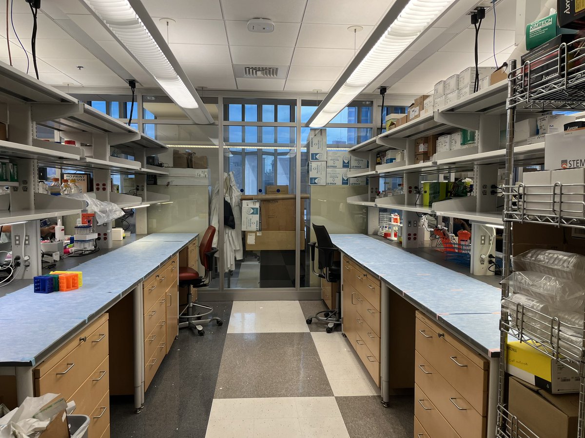 R. Taylor Ripley, M.D. Thoracic Surgeon (@rtaylorripley) on Twitter photo Ripley-Xu lab at <a href="/BCM_Surgery/">BCM_Surgery</a> <a href="/bcmhouston/">BCMHouston</a> <a href="/BCMFromtheLabs/">From the Labs at Baylor College of Medicine</a> growing rapidly to study mechanisms underlying therapeutic resistance! Clean and ready to go! Ripley-Xu lab at <a href="/BCM_Surgery/">BCM_Surgery</a> <a href="/bcmhouston/">BCMHouston</a> <a href="/BCMFromtheLabs/">From the Labs at Baylor College of Medicine</a> growing rapidly to study mechanisms underlying therapeutic resistance! Clean and ready to go!