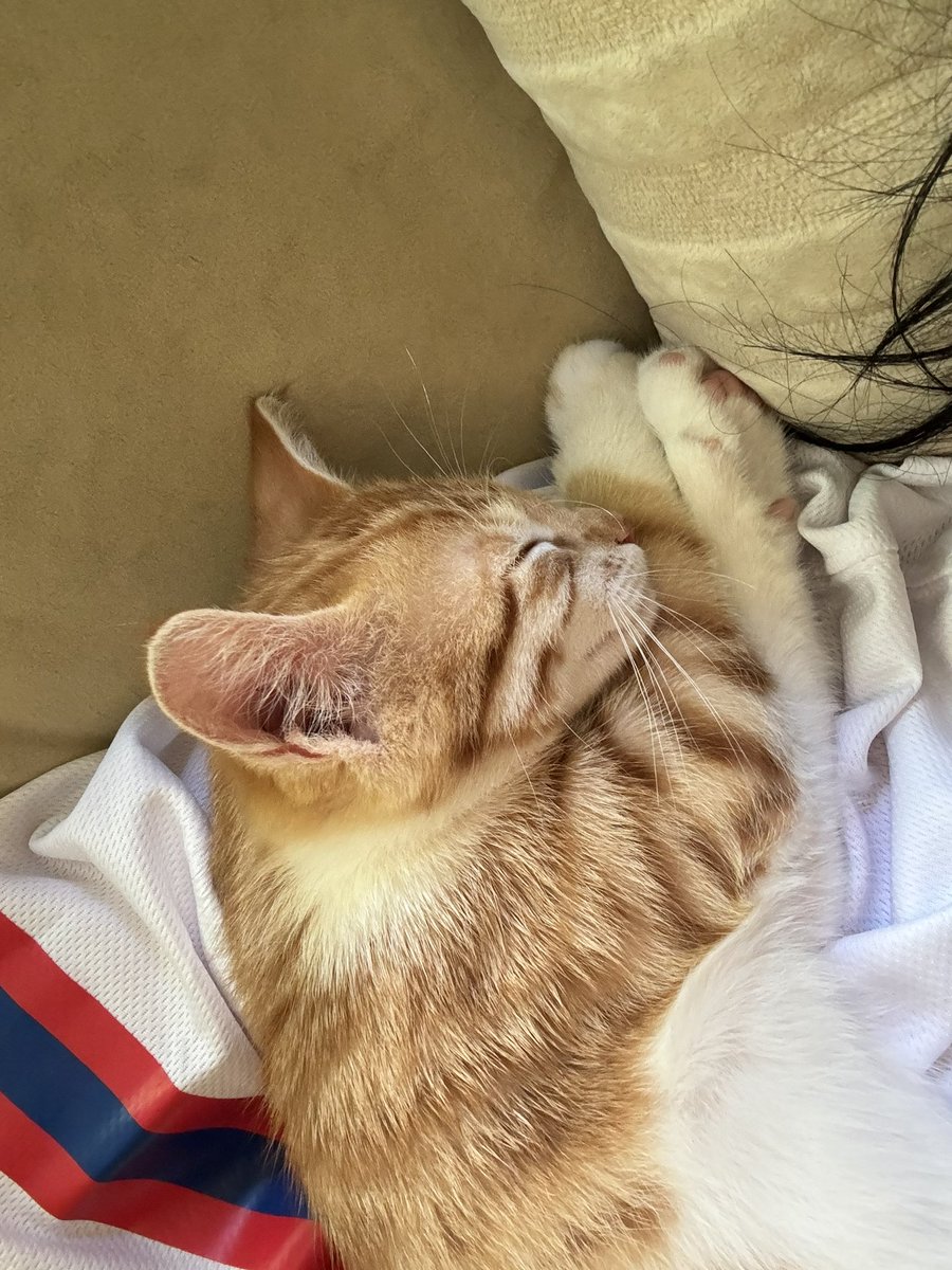 iyi geceleer 🤍✨