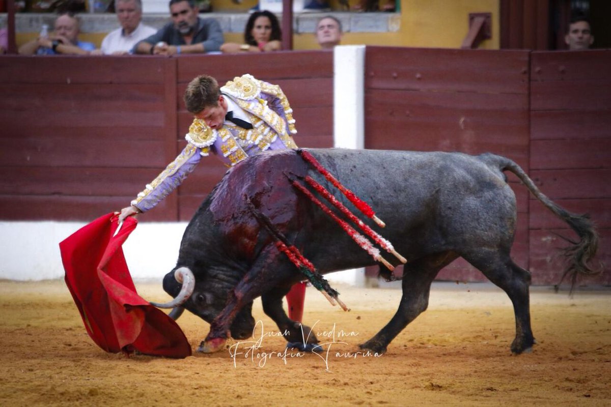 torosguijuelo's tweet photo. 💥Borja Jiménez, 5 orejas en su encerrona💥

Borja Jiménez, anunciado el día 17 de agosto en nuestro coso, ha protagonizado una exitosa gesta en La Línea de la Concepción. Ha cortado 5 orejas en su encerrona con los de Victorino.

¡Enhorabuena @BorjaJimenez92!

📷 Mundotoro https://t.co/HeZcXOQrhi