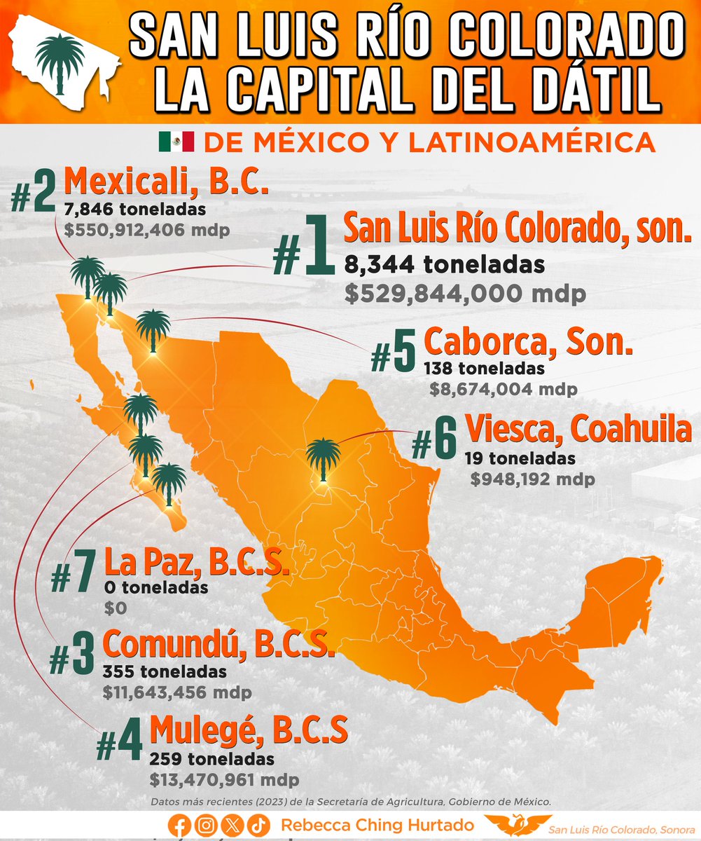 San Luis Río Colorado superó los $500 millones de pesos 💰 generados por las 8 mil 344 toneladas de dátil Mejhoul producidas durante 2023, lo que nos mantiene en el 1er lugar 🥇🏆 como productores a nivel nacional 🇲🇽 y en todo latinoamérica, por eso somos #LaCapitalDelDátil🌴