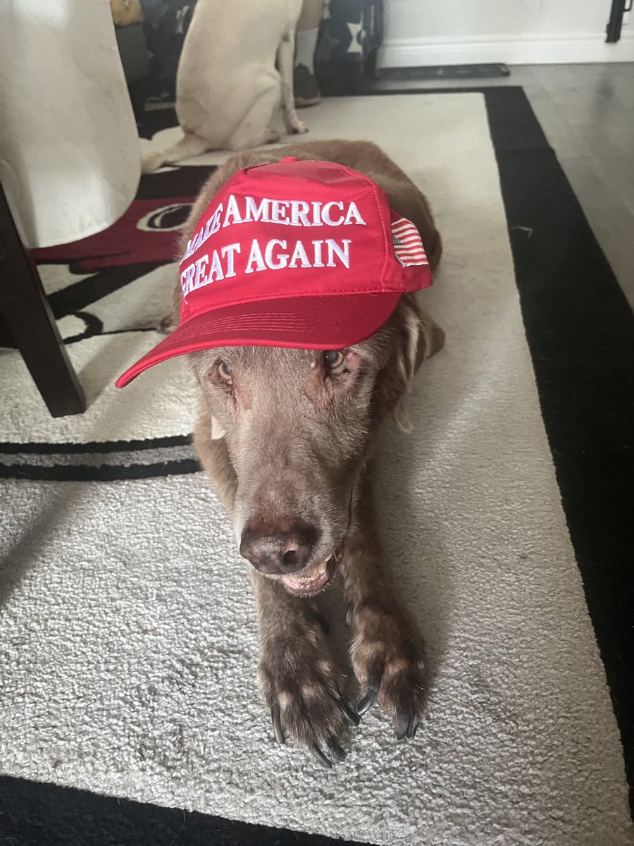 JBHelpedMeTalk's tweet image. I’m from Canada princess Gemma and my dog princess belle and princess Anna stand with you trump and Jd we love you all so much and Canada love you if I could I would vote trump and Vance @realDonaldTrump @DonaldJTrumpJr @IvankaTrump @MELANIATRUMP @EricTrump @JDVance1