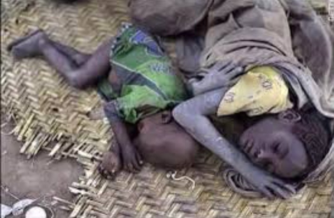 Omar_Madaniah's tweet photo. حال أهل السودان الجريح في ظل التعتيم الاعلام على ما يجري من احداث مؤلمه https://t.co/tEjuJCOCkF