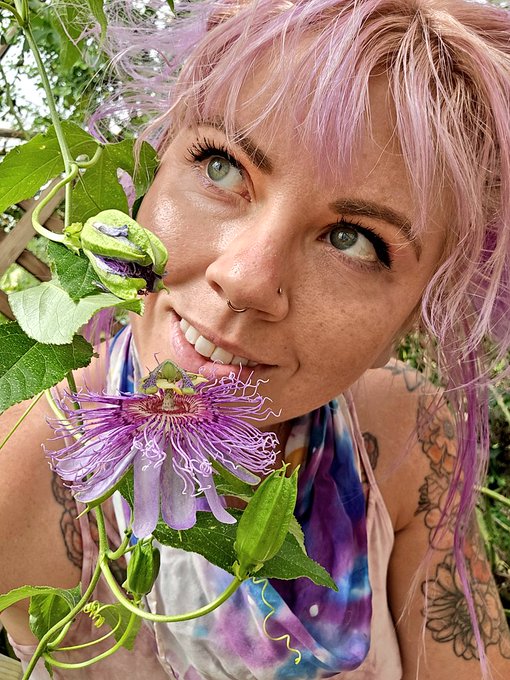 Road tripping! Get the full scoop on my fan page if you want to follow along! 💜💚💜💚💜 https://t.co/Hwo