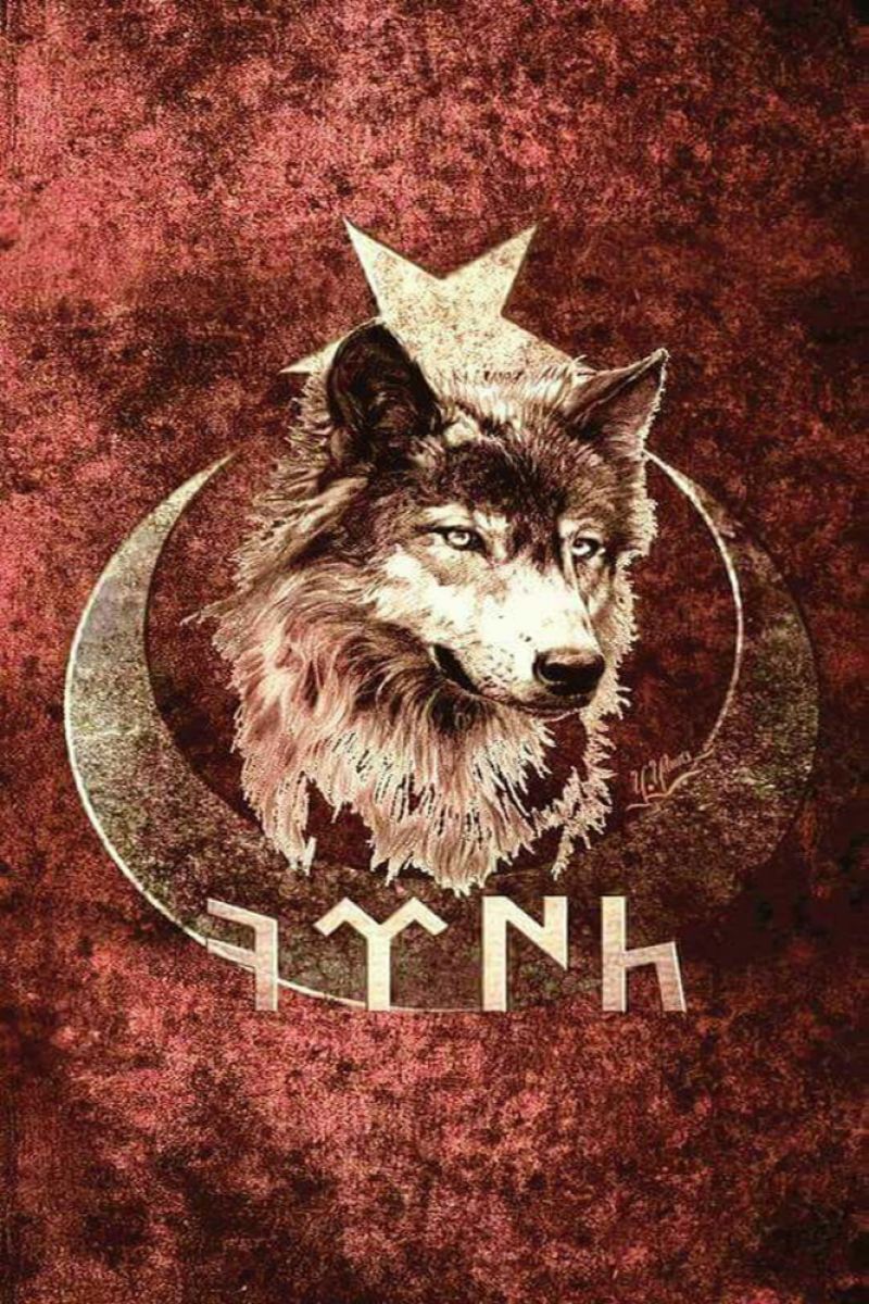 Ahmet Giray MISDAÇOĞLU tweet media