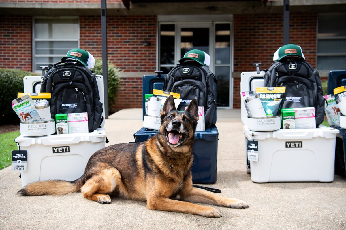 Our pups at <a href="/msstatepd/">MSU Police</a> got a special delivery today! 📦🦴 Dr. Todd Henderson, CEO of Nutramax Laboratories, generously donated 4 Yeti coolers of gifts and goodies for the four-legged officers. Learn more 👉 tinyurl.com/mrybzjvv