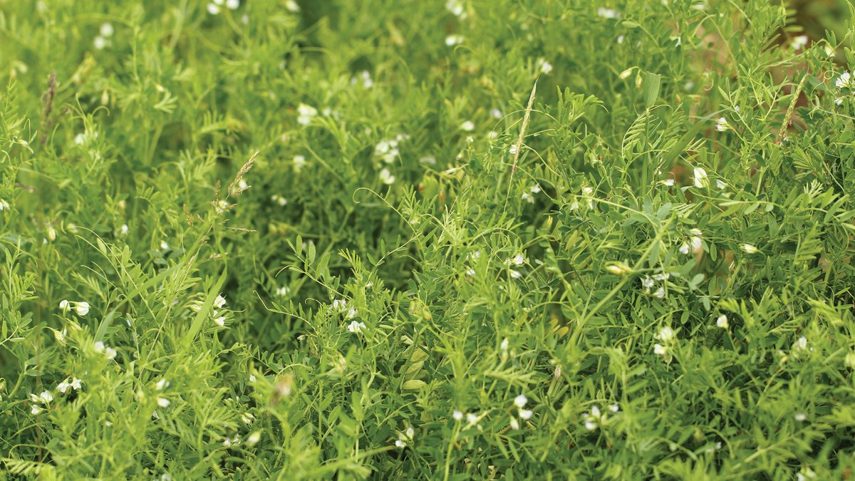 FMC Ag Canada tweet media