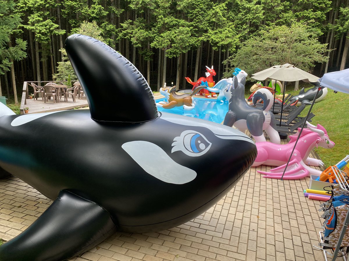 orca672200's tweet photo. まだまだ出るよ〜 https://t.co/rSuwmv5rWO
