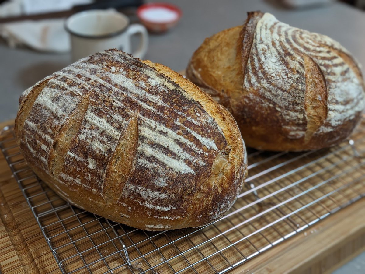 Christina E. Pasqua tweet media