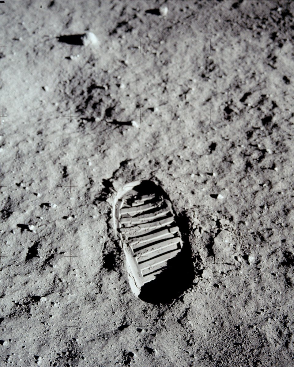 President Biden Archived tweet media