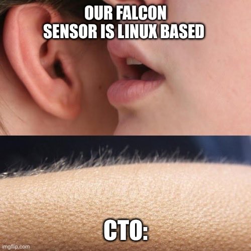 BenHayak's tweet photo. CrowdStrike outrage nervousness in the upcoming days: #infosec https://t.co/bsrPoaZyEW