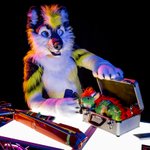 Photo by Codec @Animalz @NFC (@FuzzyCodec)