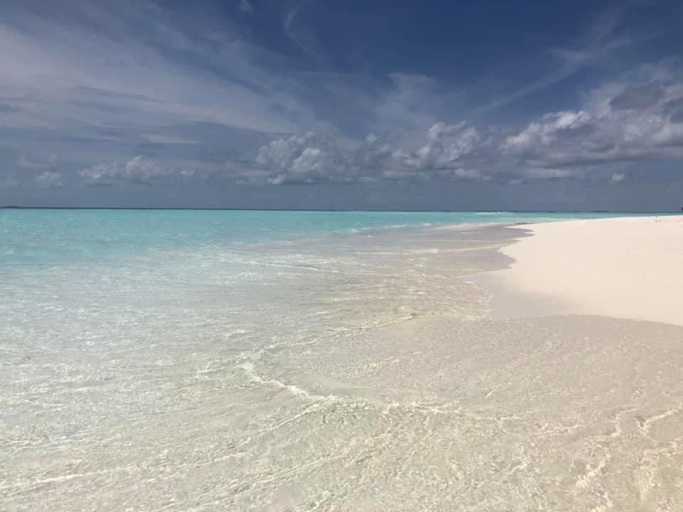sunshadevol's tweet photo. Discover the joy of volunteering in the #Maldives! Make the most of your stay with us. Reach out at info@sunshadevolunteers.com. #sunnysideoflife #sunnyday #maldivesholiday #voluntourism #volunteerabroad #gapyear #volunteering #maldivesislands 🇲🇻 https://t.co/u8oYRiHB7r