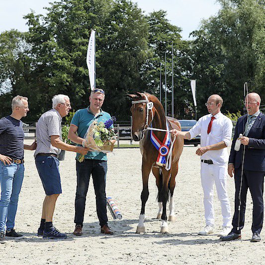 Henk Lassche tweet media