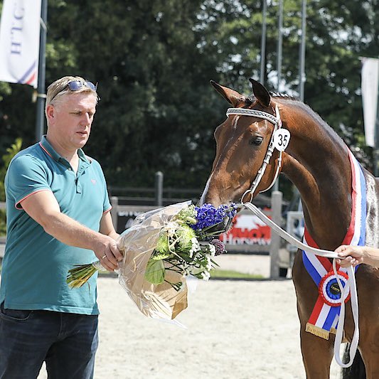 Henk Lassche tweet media