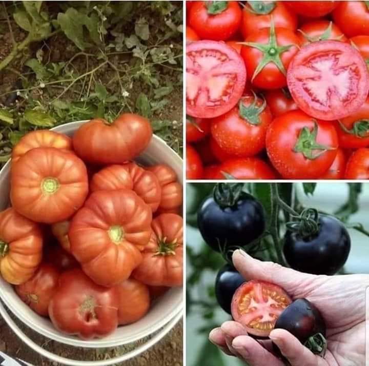 SİZ HİÇ AKIL ETMEYECEK,  SİZ HİÇ DÜŞÜNMEYECEK MİSİNİZ ?🤔🙁😡

Nasıl bir tehlikeyle karşı karşıya olduğumuzun farkında mısınız?

Tarım ve Köy işleri Bakanlığı'nda 
115 bin kişi çalışıyor. 
30 tane ziraat fakültemiz, 
50 tane tarım araştırma enstitümüz, 
10 bin işsiz ziraat