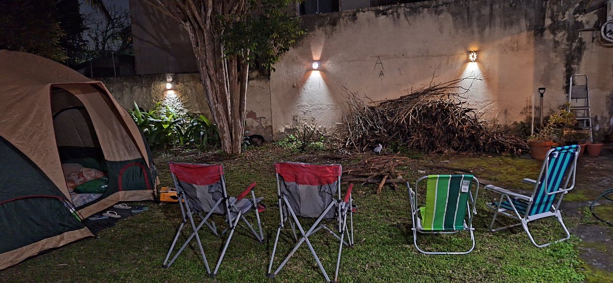 beatrizabbade's tweet photo. O porquê de ser muito melhor ter uma casa com quintal: https://t.co/066L0Ib9aI