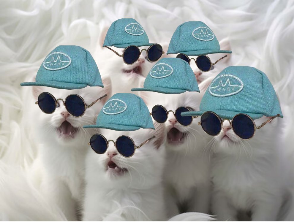 Solblers's tweet photo. @calebsol We are ready
$ACE https://t.co/KD2H6jlsI8
