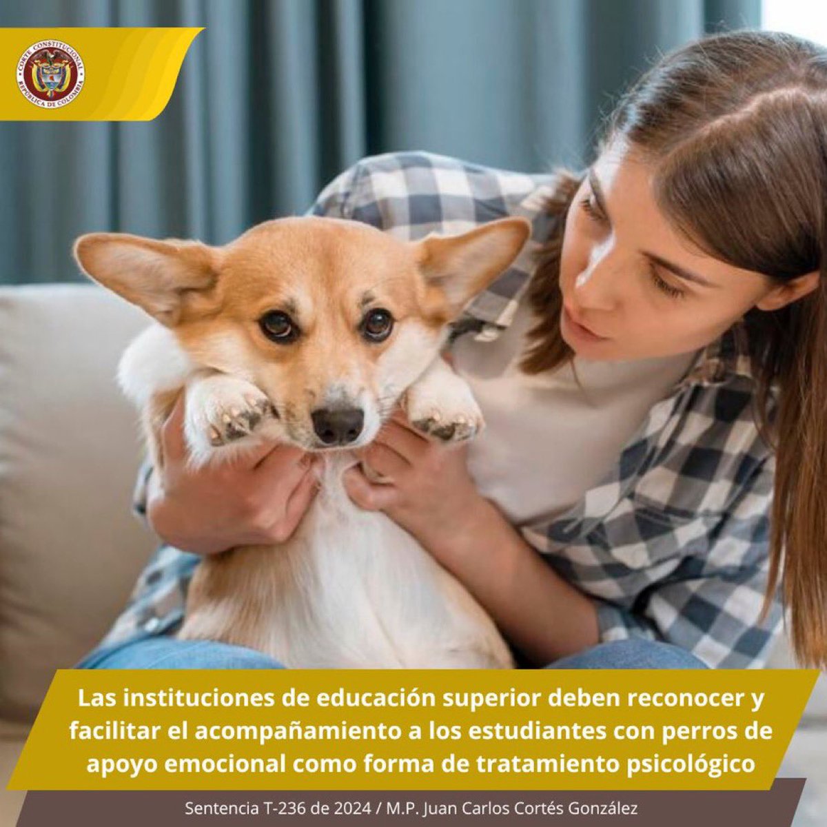 Constitutional Court Colombia tweet media