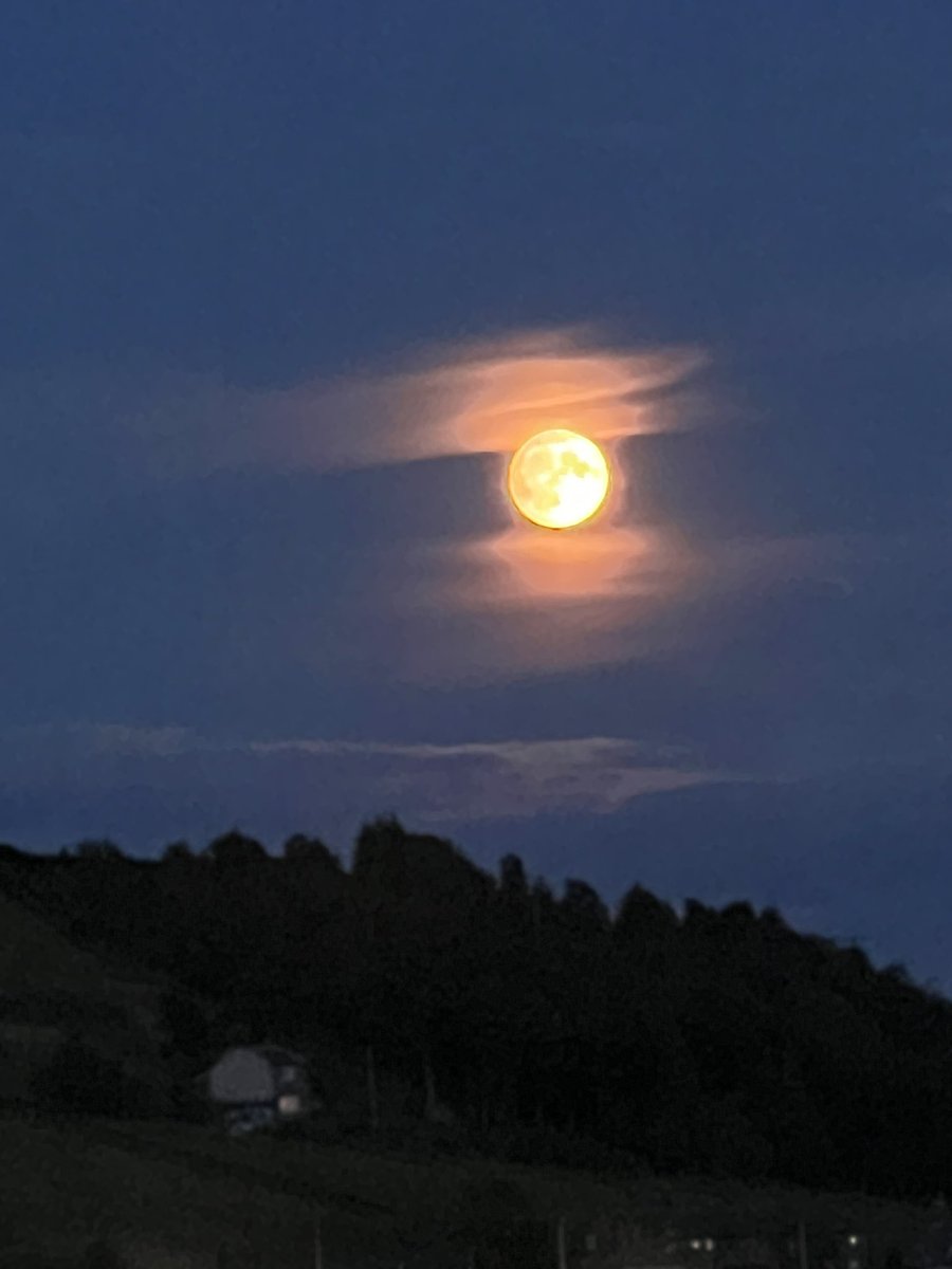 Jack Wallington tweet media