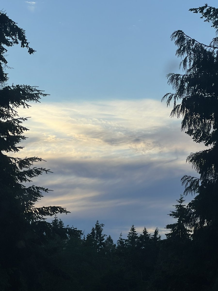 MaryAbeBroker's tweet photo. #cirrostratusclouds #cirrostratus #ascensionclouds 💥 🤯 ? https://t.co/xlHMVSQulj
