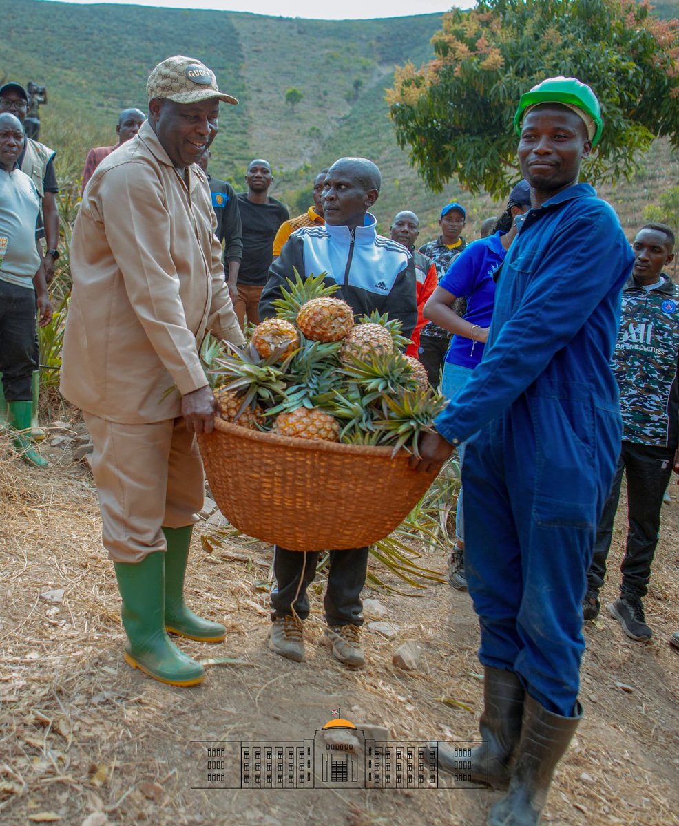 NtareHouse's tweet photo. La caravane #Inkebuzo s'est dirigée vers la colline Migende de la commune Gisuru, où S.E @GeneralNeva a visité  un projet de plantation d'ananas sur une superficie de 50ha, appartenant à Mbonimpa Ezéchiel, un jeune financièrement  appuyé par le @PAEEJ_Burundi. https://t.co/asIXQdEDYb