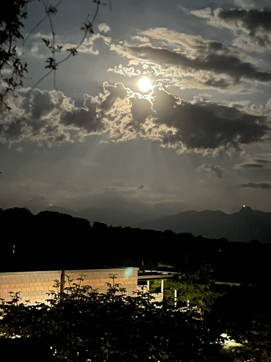 Daniel Menna 💙💛🕊🌻 tweet media