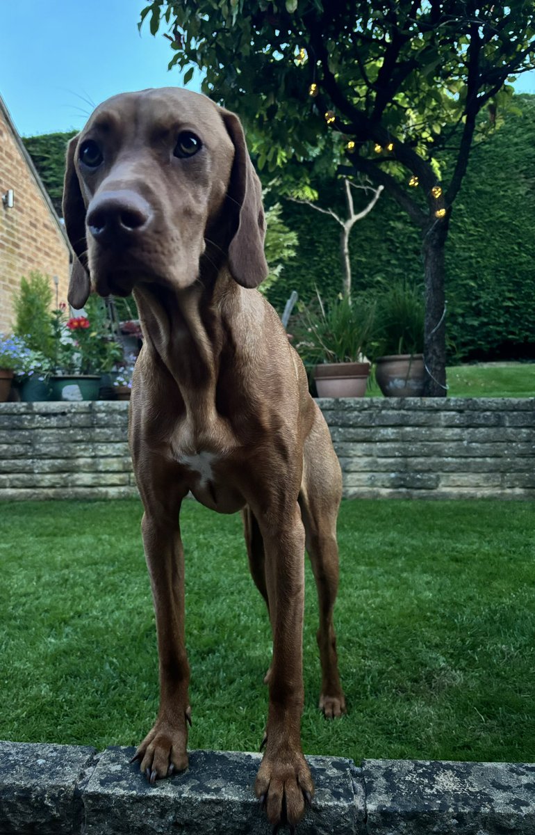 nickijwiggins's tweet photo. Fern 💚xx https://t.co/fSOmYhz1wm
