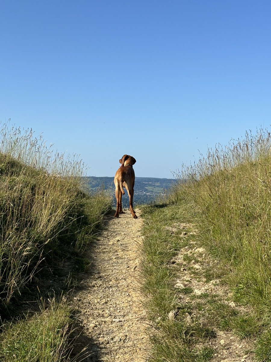 nickijwiggins's tweet photo. Fern 💚xx https://t.co/fSOmYhz1wm