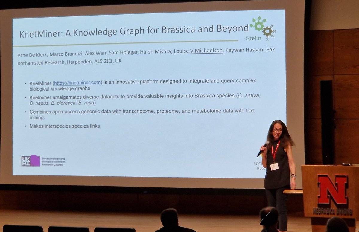 JohnathanNapie1's tweet image. Excellent set of flash talks to promote poster presentations - @LVMichaelson from @Rothamsted highlights the power of @KnetMiner for camelina. #camelina_2024