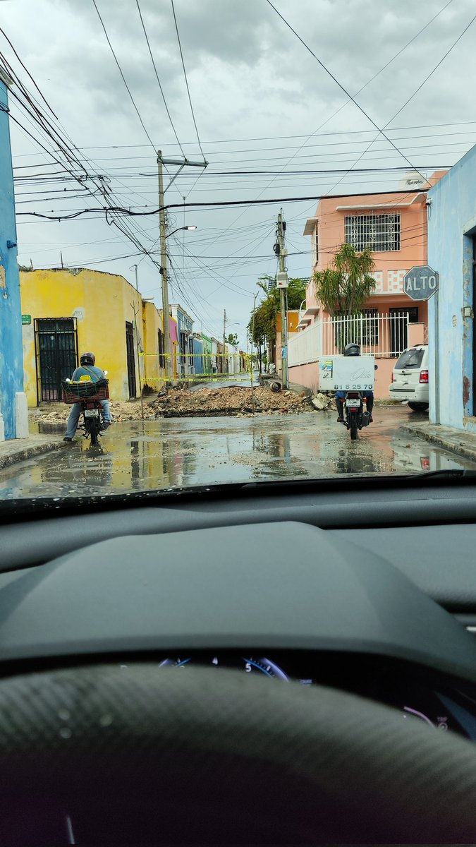 Ya suéltame Campeche por favor solo quiero ir a mi casa