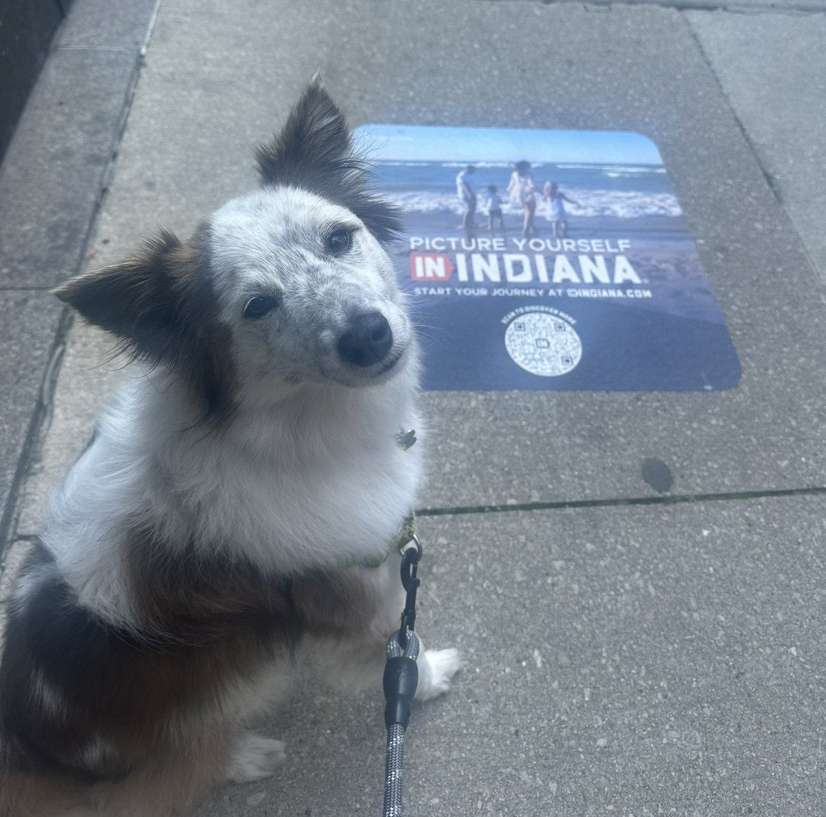 I just got to Illinois and now they want me to picture myself in Indiana