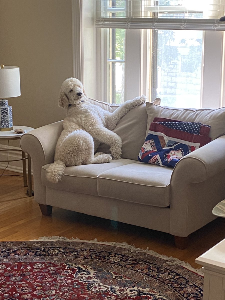 I have been judged and found wanting