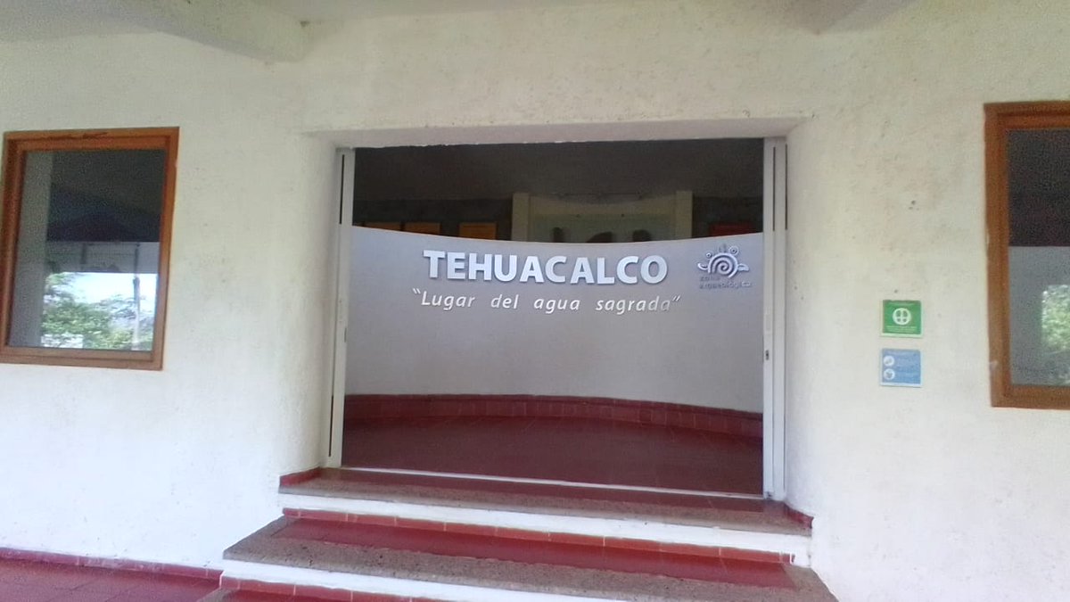 Ellie 🇲🇽 tweet media