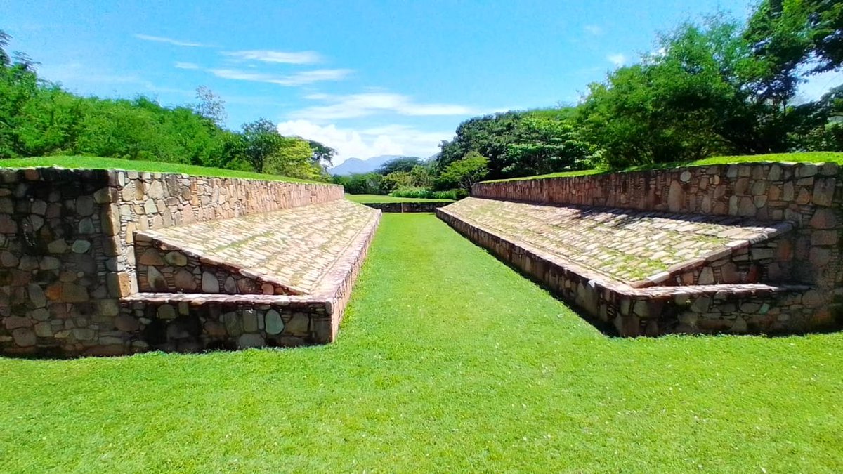 Ellie 🇲🇽 tweet media