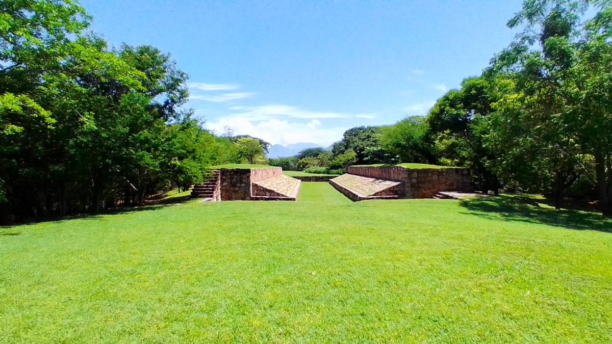 Ellie 🇲🇽 tweet media