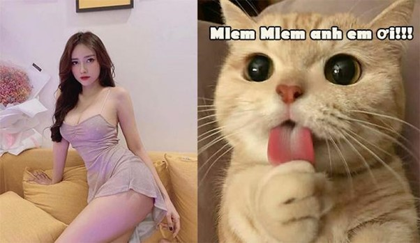 Mlem tweet media