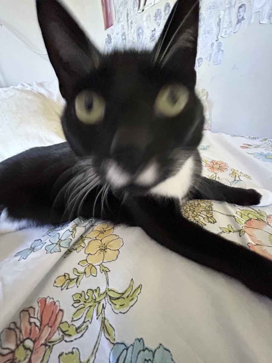 Motherfuckers don’t even ask to hit the pen anymore they just look at you like this