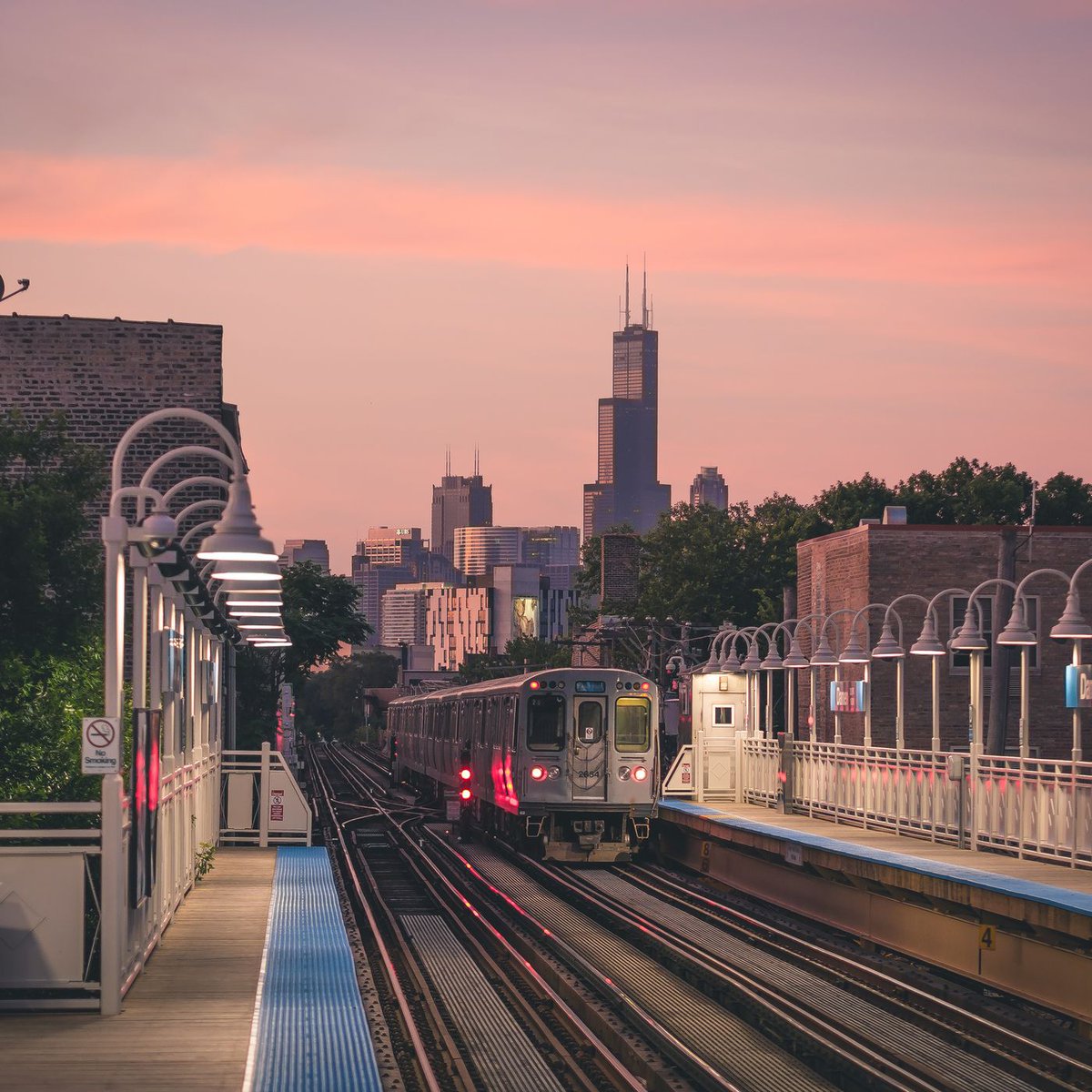 Chris 🦝 tweet media