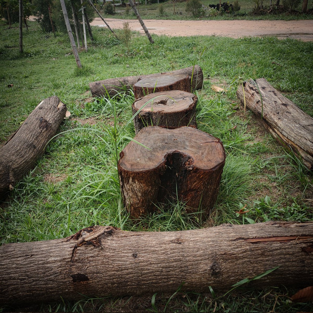 เพราะการจากลาของเรา ไม่เคยจะจากหายไปจากใจฉัน
การบอกลาในวันนั้น ยังฝังในใจ
#การจากลาที่ไม่มีวันจากไป #การบอกลา #แคปชั่น