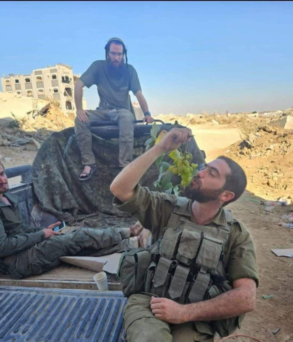 MADIBA1150270's tweet image. 🔻🔻#Desnazificado🔻🔻
El Teniente Coronel "Judá" juró que comerían uvas #Gaza.

Un francotirador de brigadas #Qassam prometió obsequiarle por su juramento con una bala. Ambos cumplieron... 😉