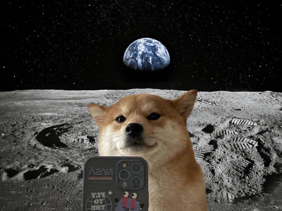 Harsh151815's tweet photo. @SelfieDog_SOL @MustStopMurad $selfie https://t.co/NRxsAa6QS5