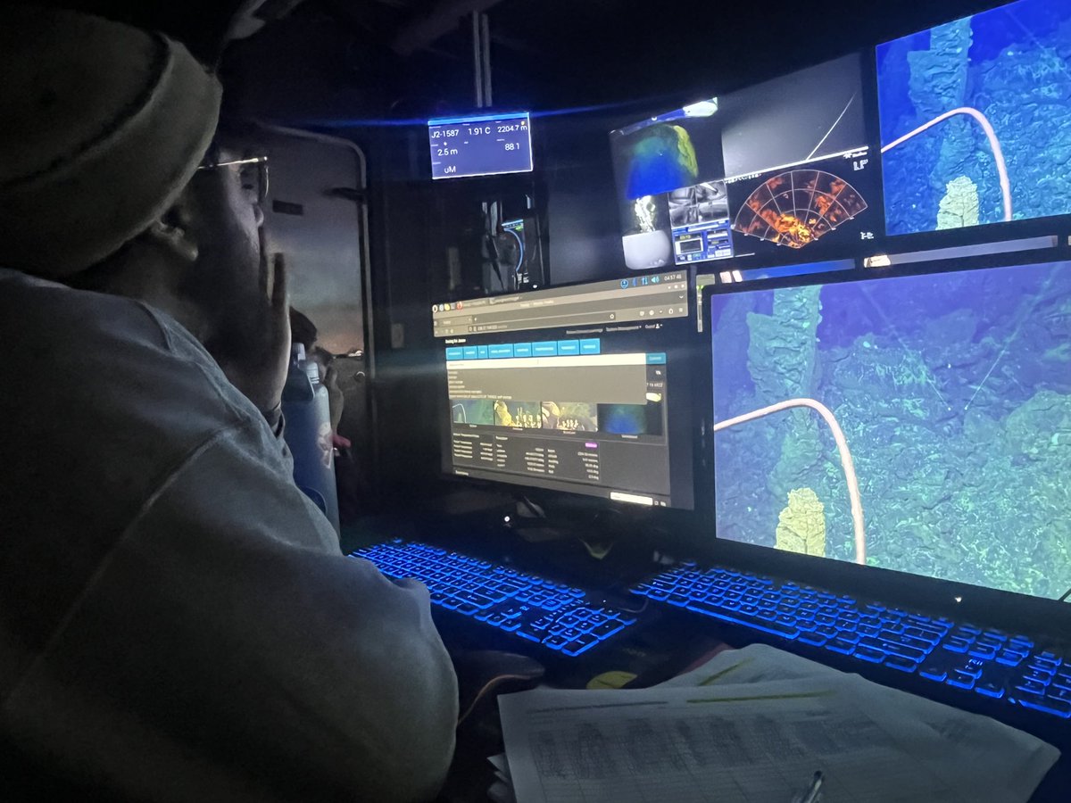 Chern0612's tweet photo. Already so many alien like animals have greeted us as we explore the Juan de Fuca Ridge! First we have a Benthoctopus then a Giant Spider Crab worshipping a filtering sea star (Brisingid)! 🐙🦀⭐️ 

#DeepSeaResearch #RVAtlantis https://t.co/MTUlT1d31b