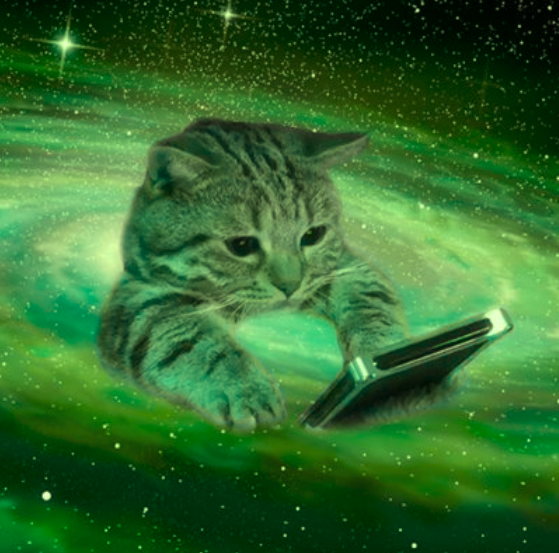TAP_IN_CTO's tweet photo. @twicrates At tap in HQ, the colour green is amongst our favourite colours.

BY AN ORDER OF PHTHALOCYANINE MAGNITUDE

Dont even know if it makes sense fuck it we ball https://t.co/ZhnJYSrDih