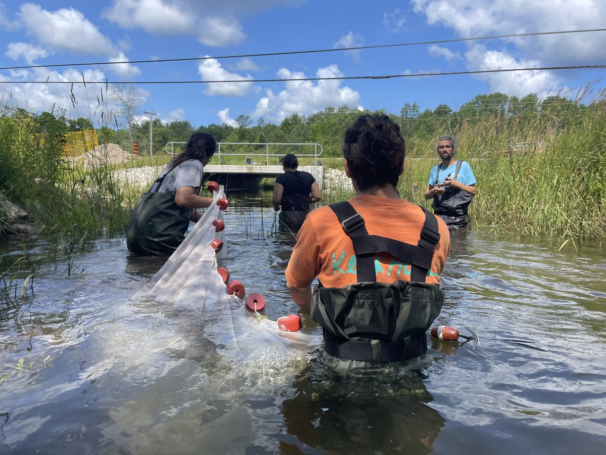 Bagida’waad Alliance tweet media