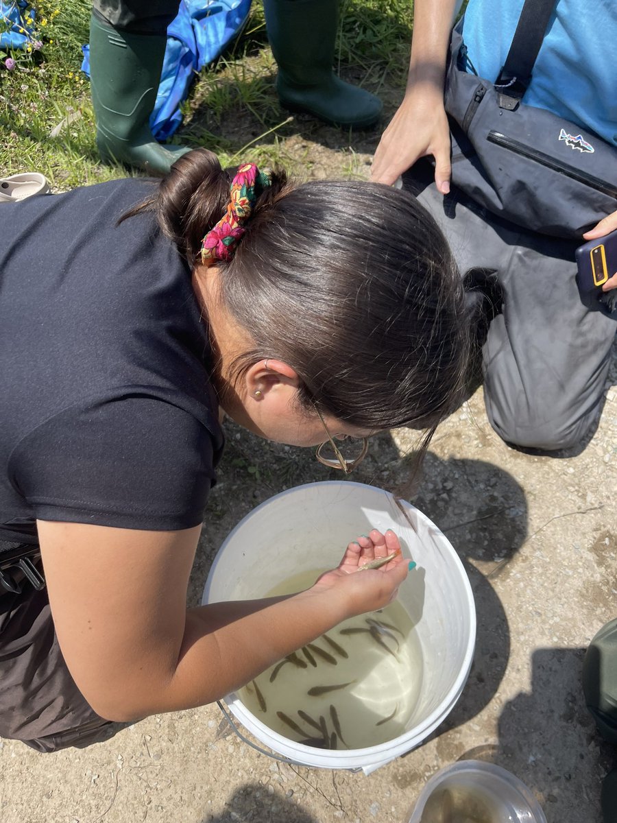 Bagida’waad Alliance tweet media